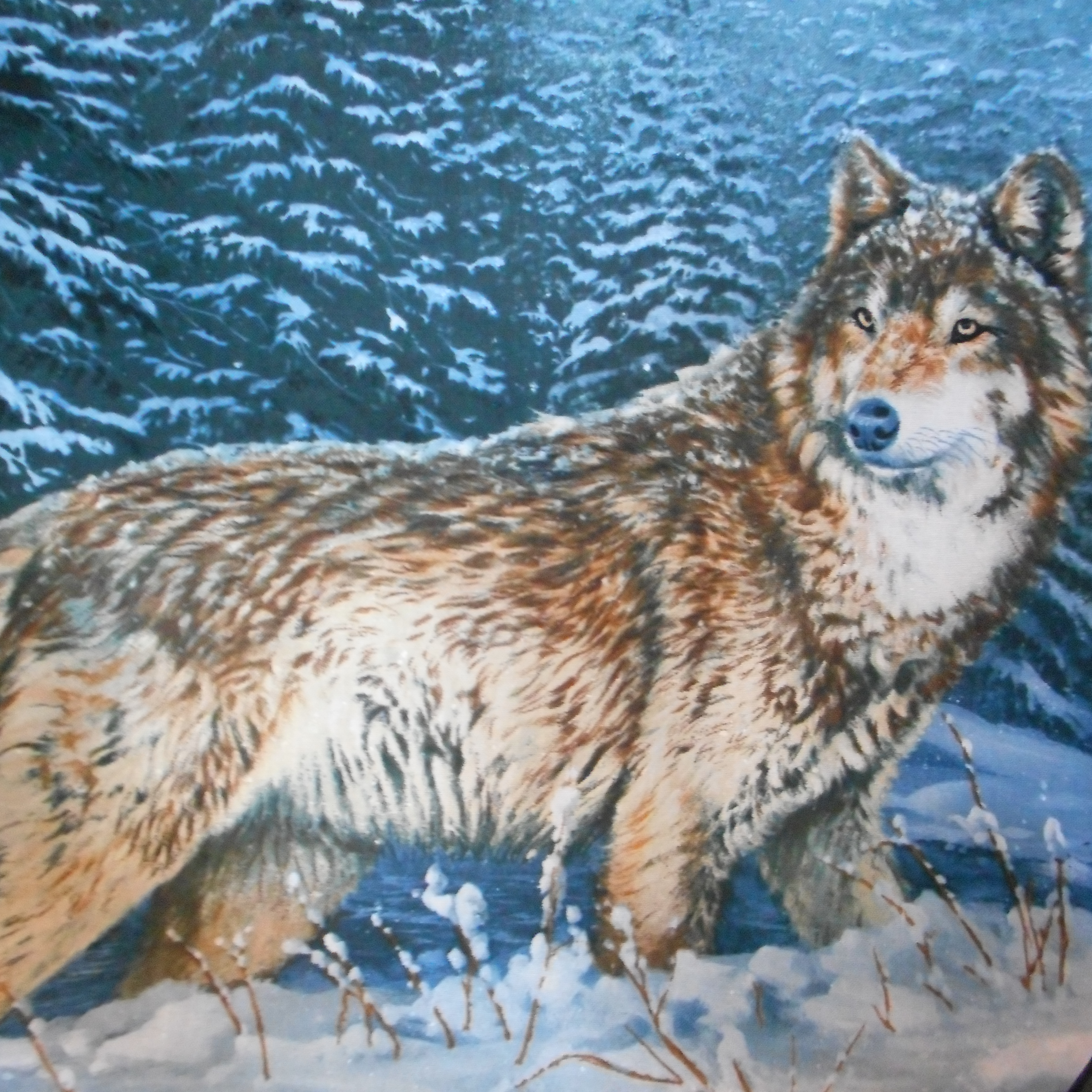 panel vlk